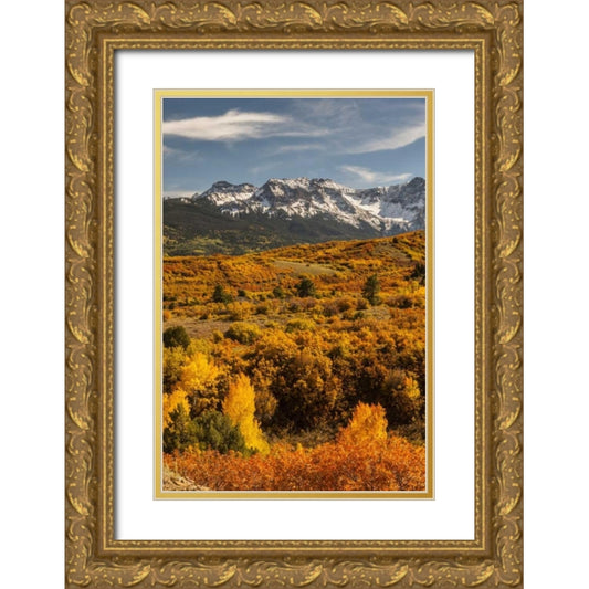 Perspective Image