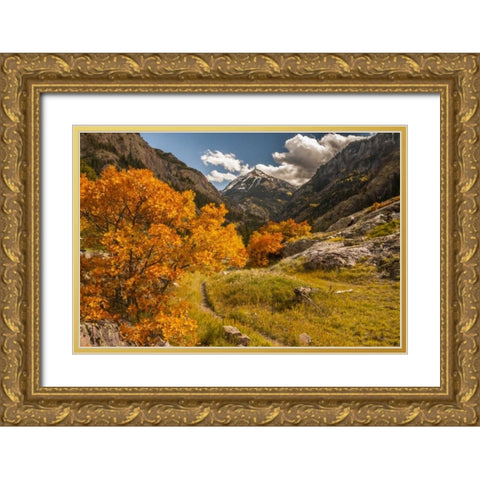 Colorado Autumn landscape in San Juan Mountains Gold Ornate Wood Framed Art Print with Double Matting by Illg, Cathy and Gordon