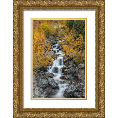 Colorado Cascading creek in San Juan Mountains Gold Ornate Wood Framed Art Print with Double Matting by Illg, Cathy and Gordon