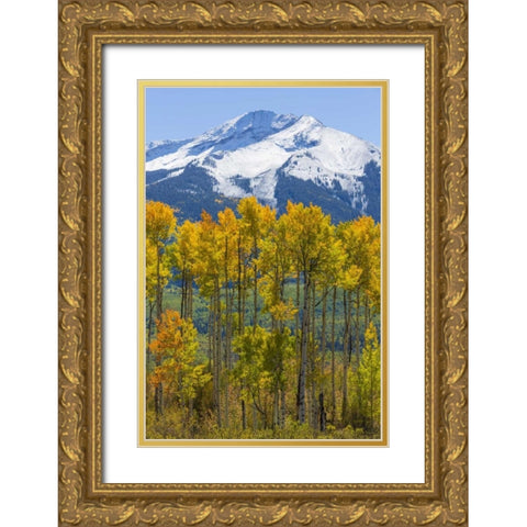 USA, Colorado Fall aspens and mountain Gold Ornate Wood Framed Art Print with Double Matting by Paulson, Don