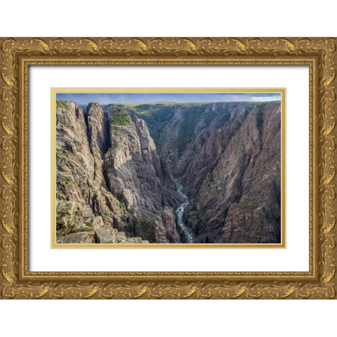 Colorado, Gunnison NP Scenic in Black Canyon Gold Ornate Wood Framed Art Print with Double Matting by Paulson, Don