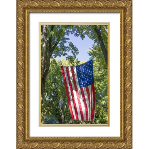 Colorado, Crawford Flag between two trees Gold Ornate Wood Framed Art Print with Double Matting by Paulson, Don