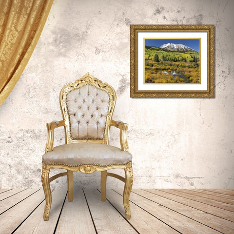 CO, East Beckwith Mountain Mountain and forest Gold Ornate Wood Framed Art Print with Double Matting by Paulson, Don