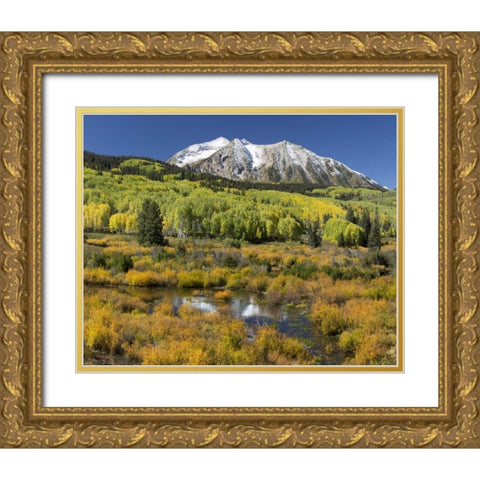 CO, East Beckwith Mountain Mountain and forest Gold Ornate Wood Framed Art Print with Double Matting by Paulson, Don