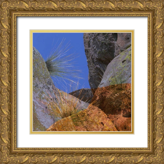 Perspective Image