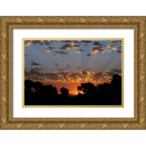 USA, Colorado, Boulder Sunrise at Sawhill Ponds Gold Ornate Wood Framed Art Print with Double Matting by Bush, Marie