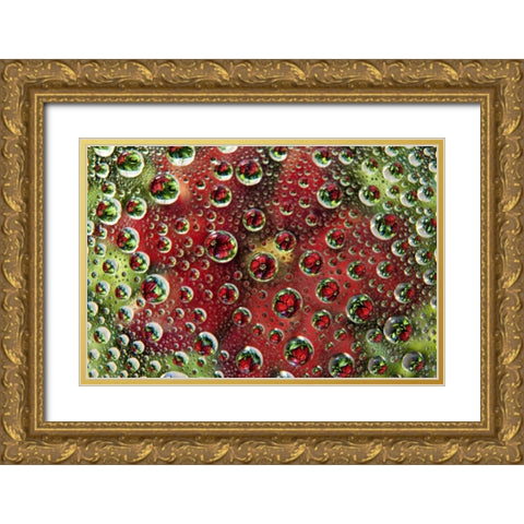 Colorado, Lafayette Abstract Water bubbles Gold Ornate Wood Framed Art Print with Double Matting by Bush, Marie
