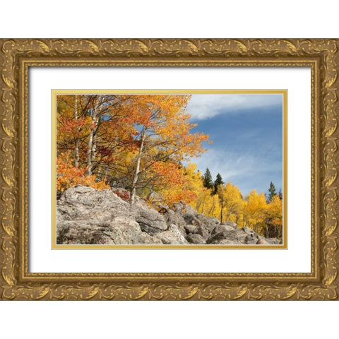 USA, Colorado, Rocky Mountain NP Autumn scenic Gold Ornate Wood Framed Art Print with Double Matting by Bush, Marie