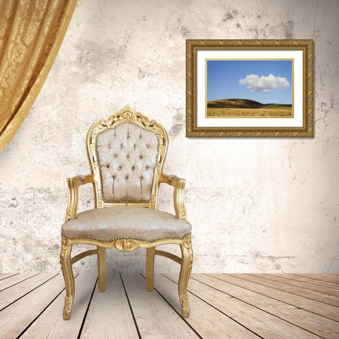Colorado, San Juan Mts Landscape of Wilson Mesa Gold Ornate Wood Framed Art Print with Double Matting by Bush, Marie