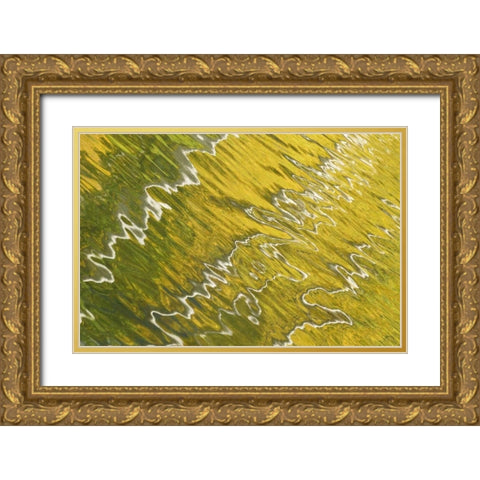 Colorado, San Juan Mts Reflection in Woods Lake Gold Ornate Wood Framed Art Print with Double Matting by Bush, Marie