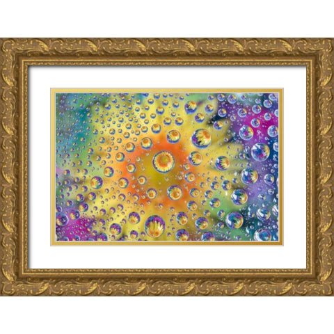Colorado, Lafayette Abstract Water bubbles Gold Ornate Wood Framed Art Print with Double Matting by Bush, Marie