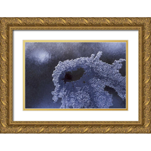 CO, Boulder Ice pattern in South Boulder Creek Gold Ornate Wood Framed Art Print with Double Matting by Bush, Marie