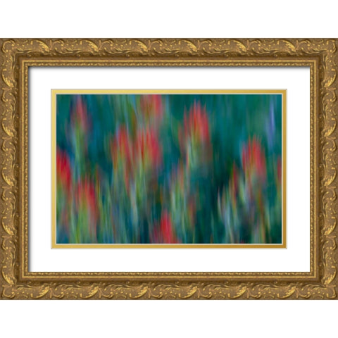 USA, Colorado, Crested Butte Flower abstract Gold Ornate Wood Framed Art Print with Double Matting by Bush, Marie