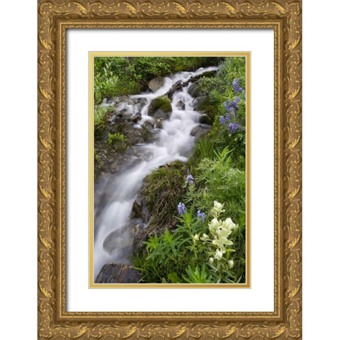 Colorado, Crested Butte Stream and flowers Gold Ornate Wood Framed Art Print with Double Matting by Bush, Marie