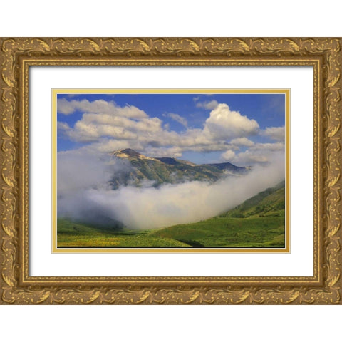 Colorado, Fog and mountain landscape Gold Ornate Wood Framed Art Print with Double Matting by Rotenberg, Nancy
