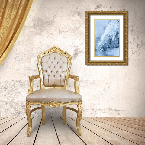 CO, Woodland Park Ice and frost on waterfall Gold Ornate Wood Framed Art Print with Double Matting by Grall, Don