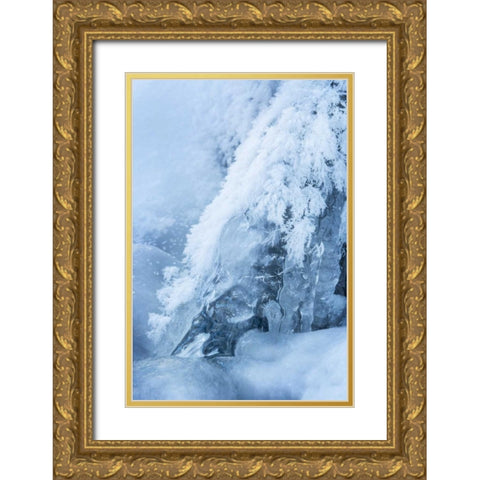 CO, Woodland Park Ice and frost on waterfall Gold Ornate Wood Framed Art Print with Double Matting by Grall, Don