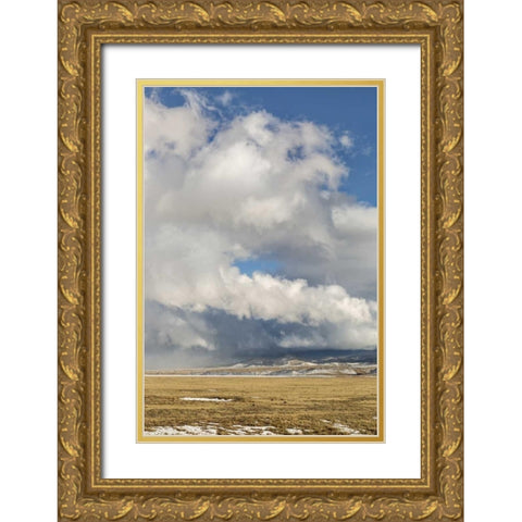 CO, South Park Winter clouds over Wilkerson Pass Gold Ornate Wood Framed Art Print with Double Matting by Grall, Don