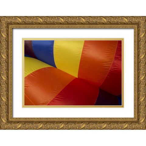 CO, Colorado Springs Hot air balloon Festival Gold Ornate Wood Framed Art Print with Double Matting by Grall, Don
