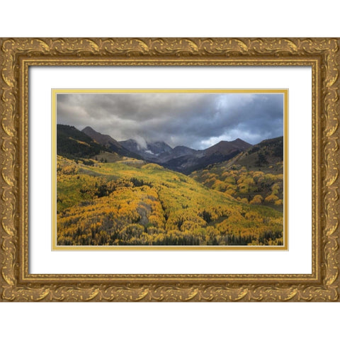 CO, White River NF, Capitol Peak Valley Storm Gold Ornate Wood Framed Art Print with Double Matting by Grall, Don