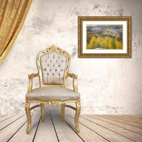 Colorado, San Juan Mountains Autumn snowfall Gold Ornate Wood Framed Art Print with Double Matting by Grall, Don