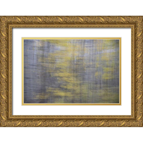 CO, Gunnison NF Abstract of aspens Gold Ornate Wood Framed Art Print with Double Matting by Grall, Don