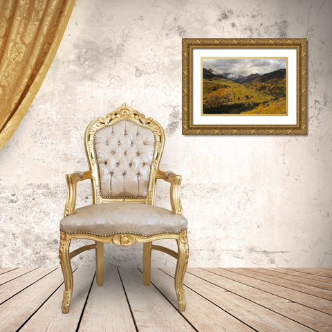 CO, White River NF, Capitol Peak Valley Storm Gold Ornate Wood Framed Art Print with Double Matting by Grall, Don