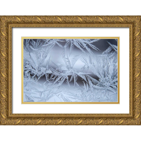 USA, Colorado, Denver Frost on a window Gold Ornate Wood Framed Art Print with Double Matting by Illg, Cathy and Gordon