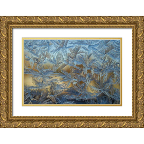 USA, Colorado, Denver Frost on a window Gold Ornate Wood Framed Art Print with Double Matting by Illg, Cathy and Gordon