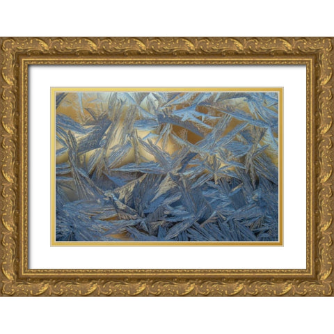 USA, Colorado, Denver Frost on a window Gold Ornate Wood Framed Art Print with Double Matting by Illg, Cathy and Gordon