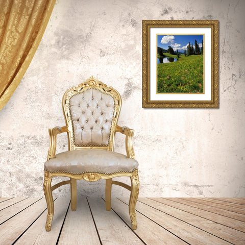 CO, Paradise Divide View of Whetstone Mountain Gold Ornate Wood Framed Art Print with Double Matting by Terrill, Steve