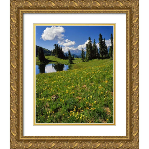 CO, Paradise Divide View of Whetstone Mountain Gold Ornate Wood Framed Art Print with Double Matting by Terrill, Steve