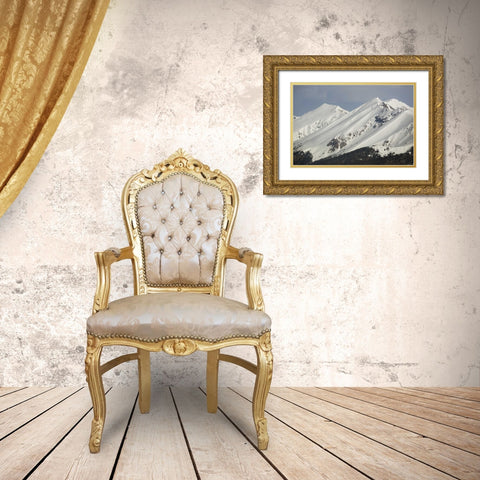 Colorado Fresh spring snow coats Sawatch Range Gold Ornate Wood Framed Art Print with Double Matting by Grall, Don