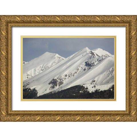 Colorado Fresh spring snow coats Sawatch Range Gold Ornate Wood Framed Art Print with Double Matting by Grall, Don