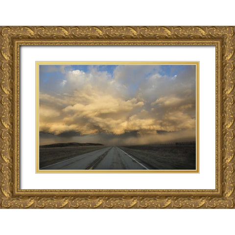 CO, Storm clouds at sunrise above South Park Gold Ornate Wood Framed Art Print with Double Matting by Grall, Don