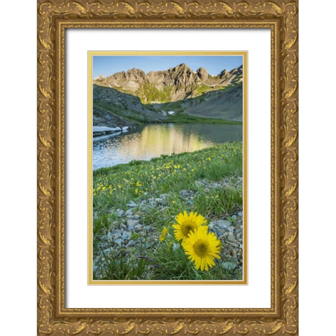 CO, San Juan Mts Lake and alpine sunflowers Gold Ornate Wood Framed Art Print with Double Matting by Illg, Cathy and Gordon