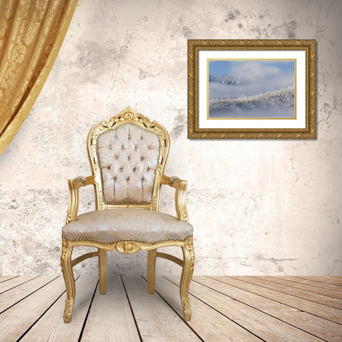 Colorado Hoarfrost coats the trees of Pike NF Gold Ornate Wood Framed Art Print with Double Matting by Grall, Don