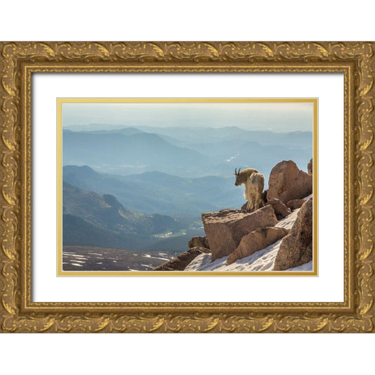 Perspective Image