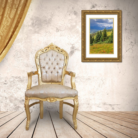 Colorado-Shrine Pass-Vail Flowery landscape in summer Gold Ornate Wood Framed Art Print with Double Matting by Jaynes Gallery