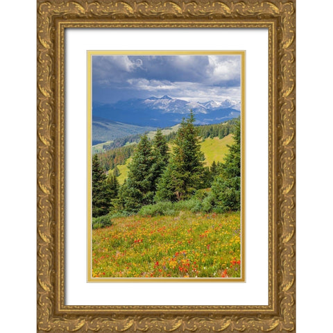 Colorado-Shrine Pass-Vail Flowery landscape in summer Gold Ornate Wood Framed Art Print with Double Matting by Jaynes Gallery