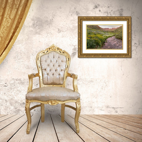 USA-Colorado Mountain landscape with wildflowers and stream Gold Ornate Wood Framed Art Print with Double Matting by Jaynes Gallery