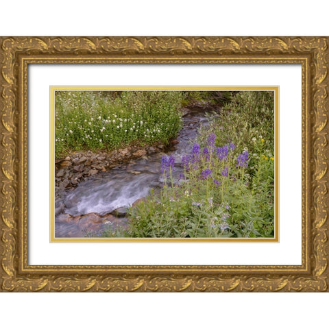 USA-Colorado Mountain wildflowers and stream Gold Ornate Wood Framed Art Print with Double Matting by Jaynes Gallery