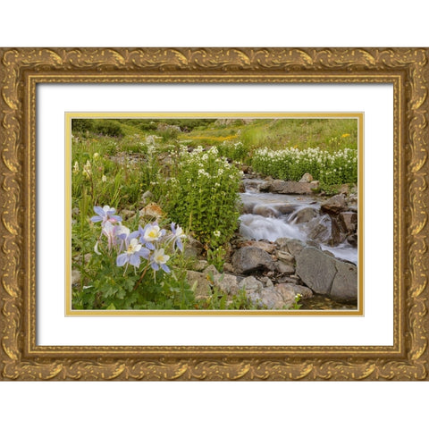 USA-Colorado Mountain wildflowers and stream Gold Ornate Wood Framed Art Print with Double Matting by Jaynes Gallery