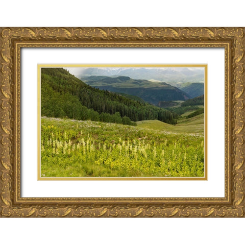 USA-Colorado-San Juan Mountains Summer mountain landscape Gold Ornate Wood Framed Art Print with Double Matting by Jaynes Gallery