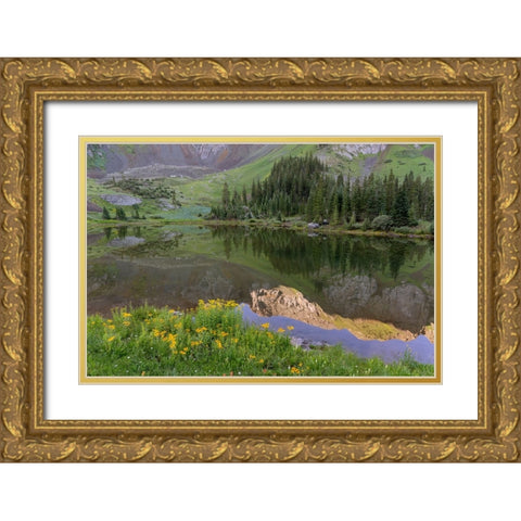 USA-Colorado-Uncompahgre National Forest Mountain wildflowers and pond landscape Gold Ornate Wood Framed Art Print with Double Matting by Jaynes Gallery