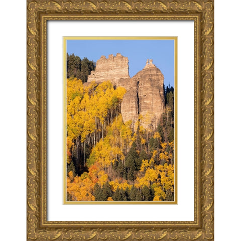 USA-Colorado-Uncompahgre National Forest Pinnacle Ridge towers over aspens in autumn Gold Ornate Wood Framed Art Print with Double Matting by Jaynes Gallery