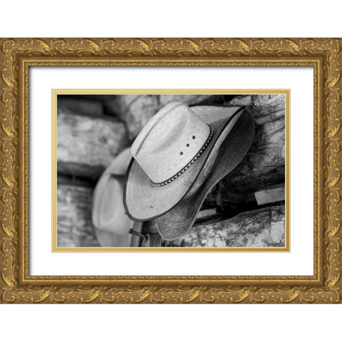 USA-Colorado-Westcliffe Music Meadows Ranch Tack room-cowboy hat detail Gold Ornate Wood Framed Art Print with Double Matting by Hopkins, Cindy Miller