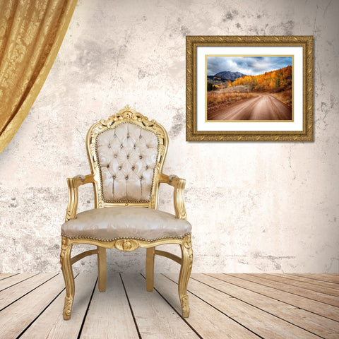 Colorado-San Juan Mts Road leading through an aspen grove towards East Beckwith Mountain Gold Ornate Wood Framed Art Print with Double Matting by Eggers, Julie