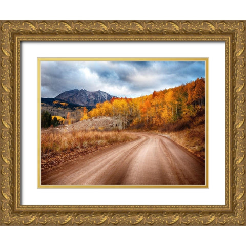 Colorado-San Juan Mts Road leading through an aspen grove towards East Beckwith Mountain Gold Ornate Wood Framed Art Print with Double Matting by Eggers, Julie