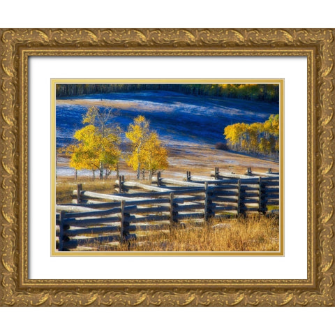 Colorado-San Juan Mts Fence line and aspens with fresh snow in the fall Gold Ornate Wood Framed Art Print with Double Matting by Eggers, Julie